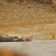 Image for article titled 50 glorious screencaps from John Carter offer your first real look at the Tharks!